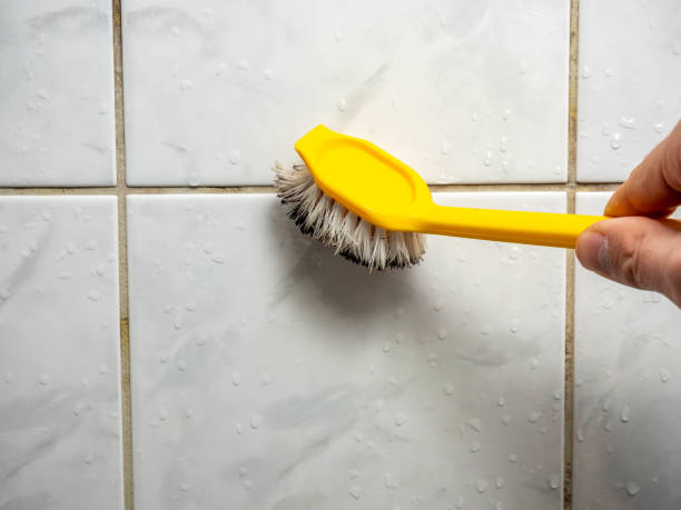 Best Attic Mold Removal  in Leisure Knoll, NJ