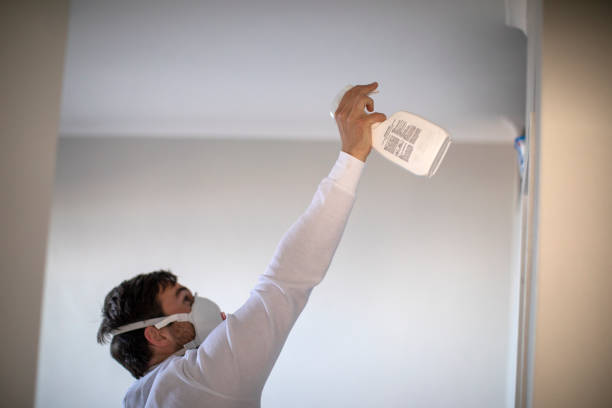 Best Crawl Space Mold Removal  in Leisure Knoll, NJ
