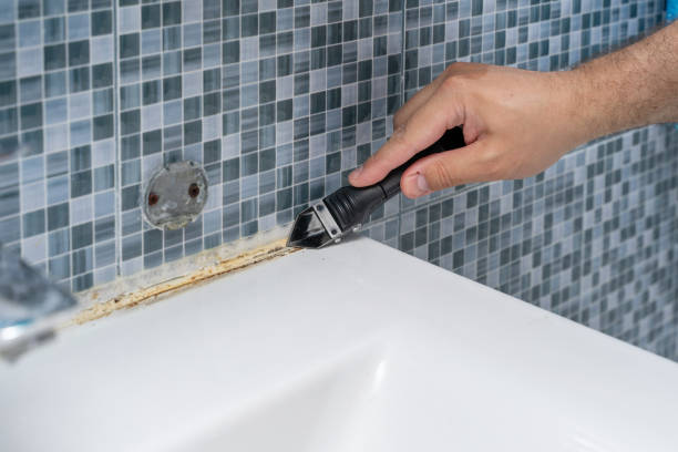 Best Attic Mold Removal  in Leisure Knoll, NJ